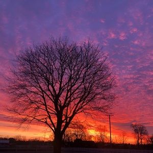 Meet your Posher, Jordyn